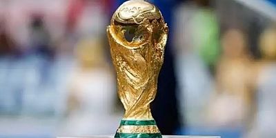 FIFA-İki ayrı kupa yerine tek bir kupa vermesi önerisi